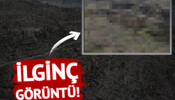 Sular çekilince ortaya çıktı! Kayseri’deki Yamula Barajı’nda ilginç görüntü...